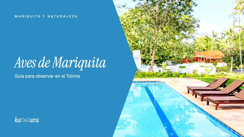 Aves de Mariquita: guía para observar aves en tierra caliente