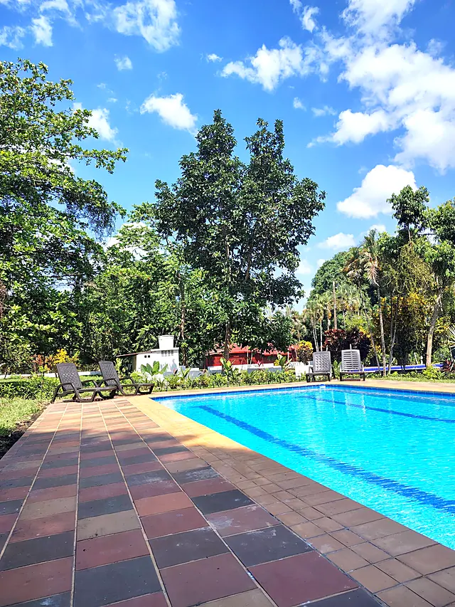 Piscina y jardín tropical