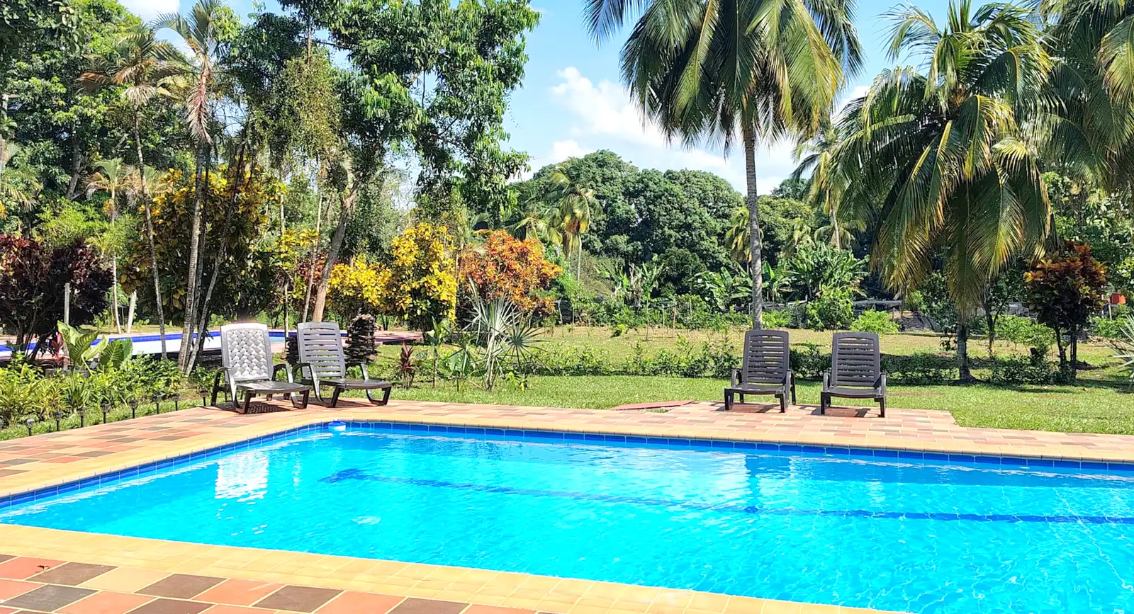 Piscina privada de Kawara con palmas de coco y cielo azul en Mariquita, Tolima